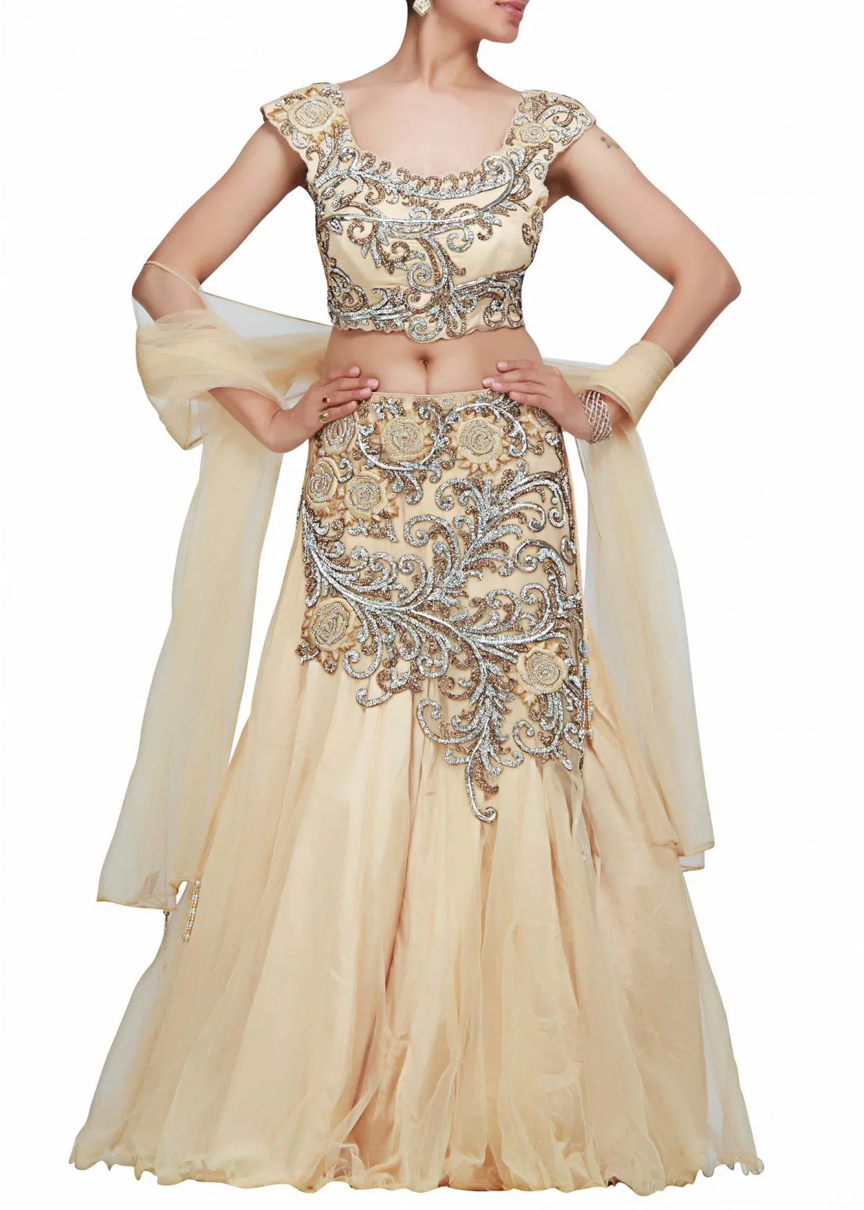 Beige color Beautiful lehenga choli available online