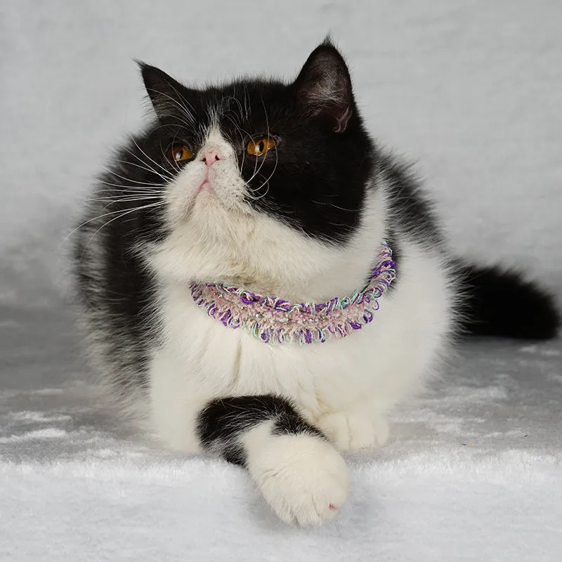 Blue & Purple Lace Collar for Dogs and Cats-A024