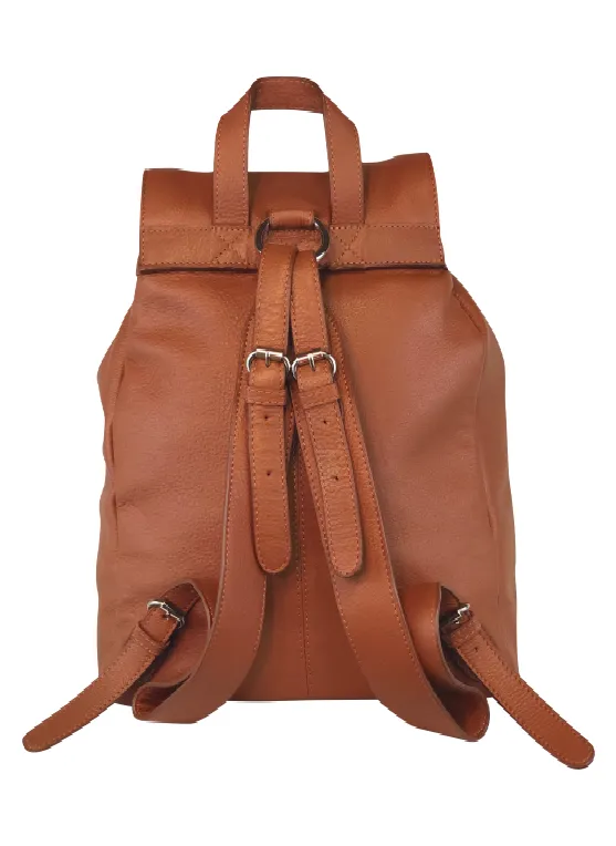 Brandywine Backpack: Polo