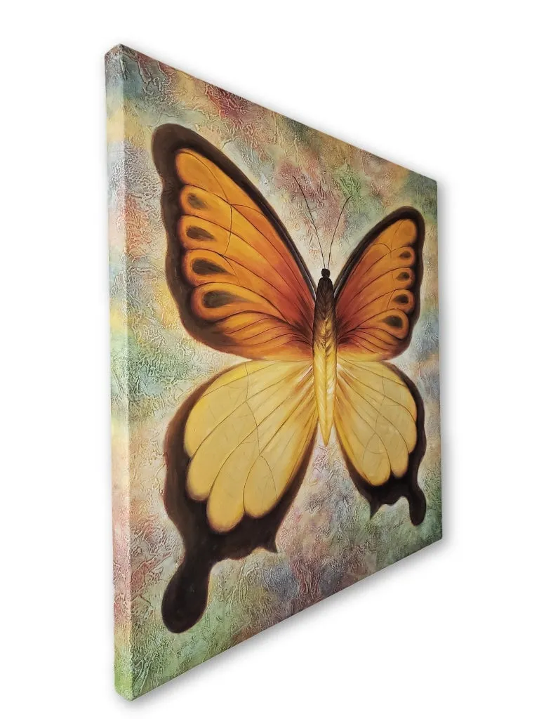 Butterfly - PREMIUM - 35.75 x 35.75 in. by T. Mike