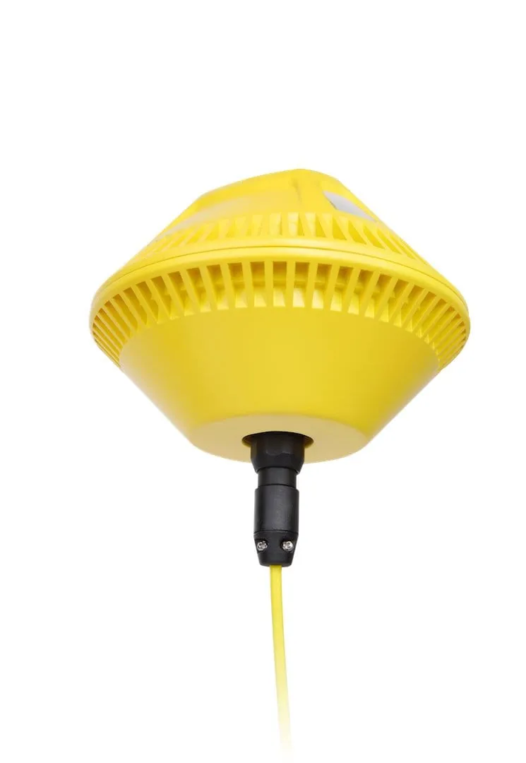 Chasing Dory Underwater ROV