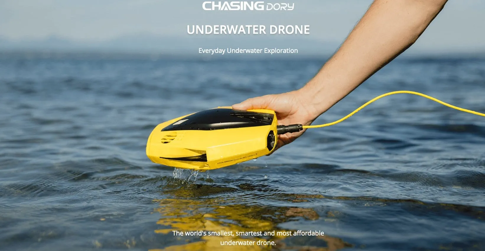 Chasing Dory Underwater ROV