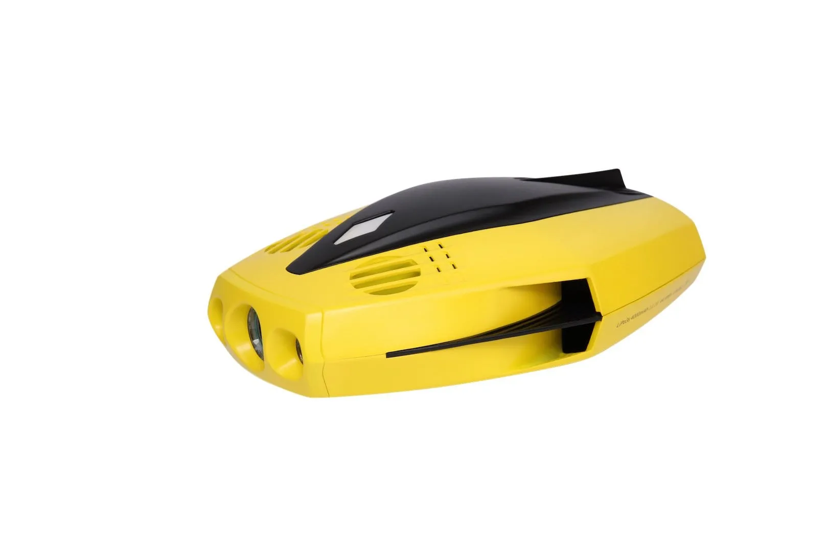 Chasing Dory Underwater ROV