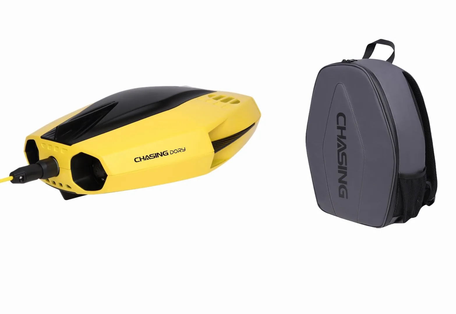 Chasing Dory Underwater ROV