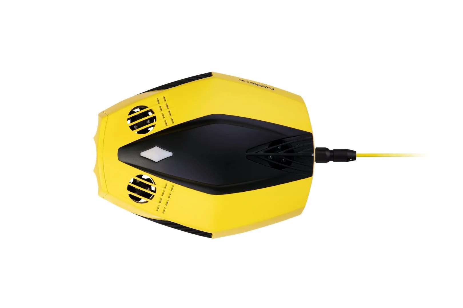 Chasing Dory Underwater ROV