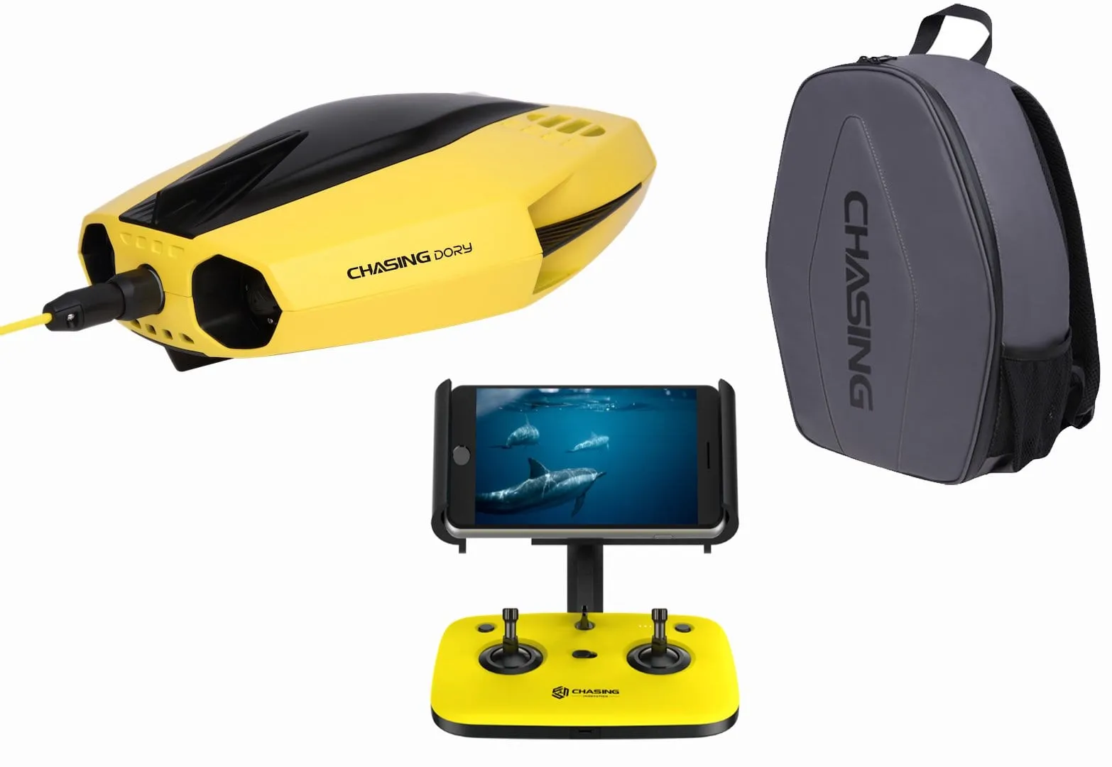 Chasing Dory Underwater ROV