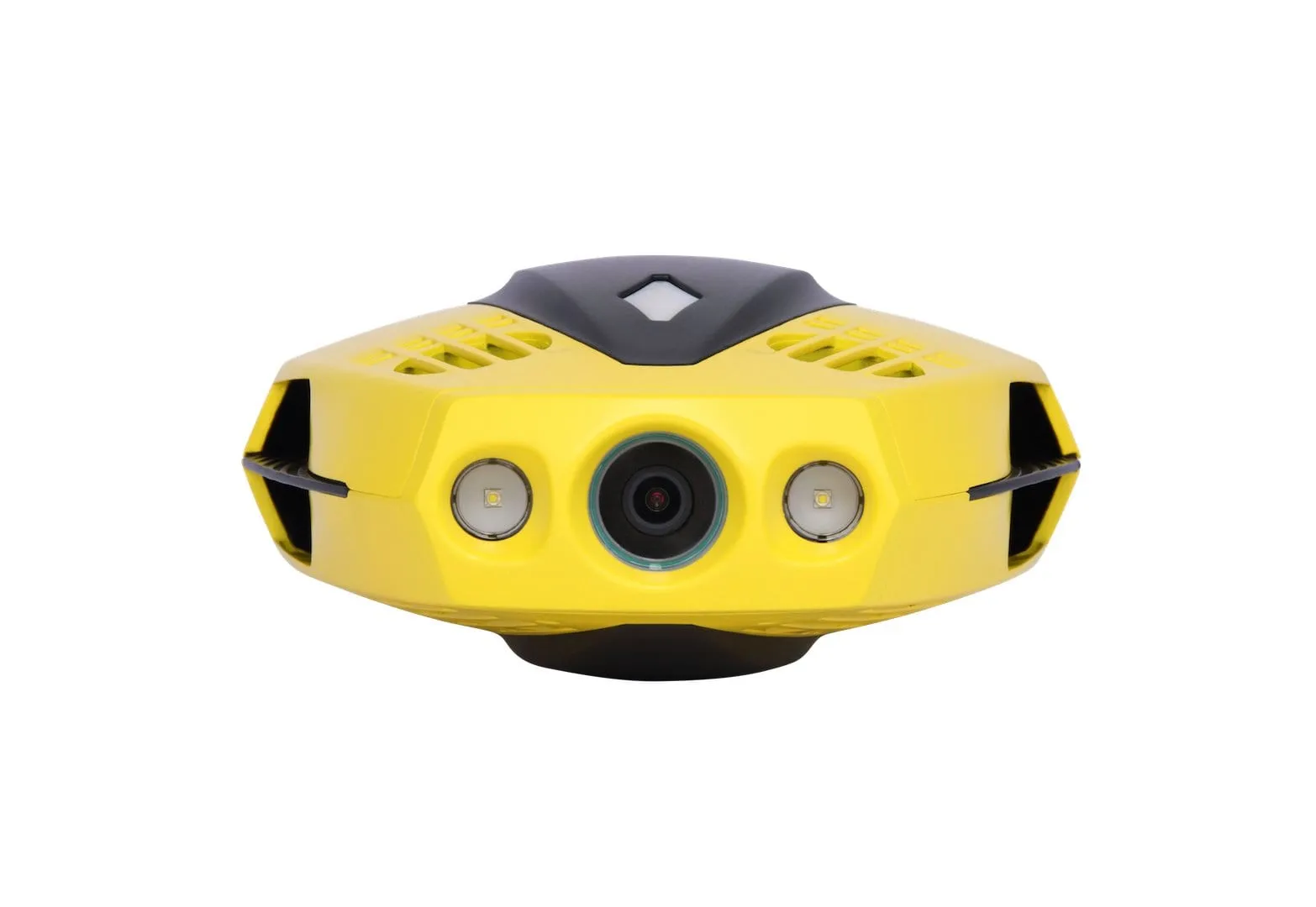 Chasing Dory Underwater ROV