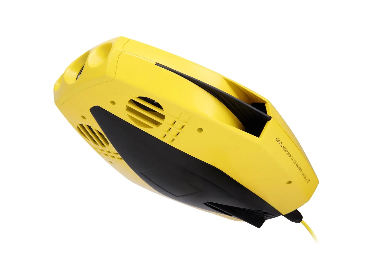 Chasing Dory Underwater ROV
