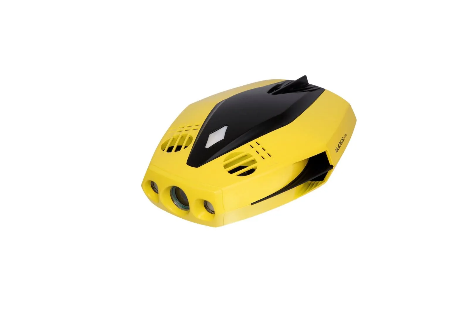 Chasing Dory Underwater ROV