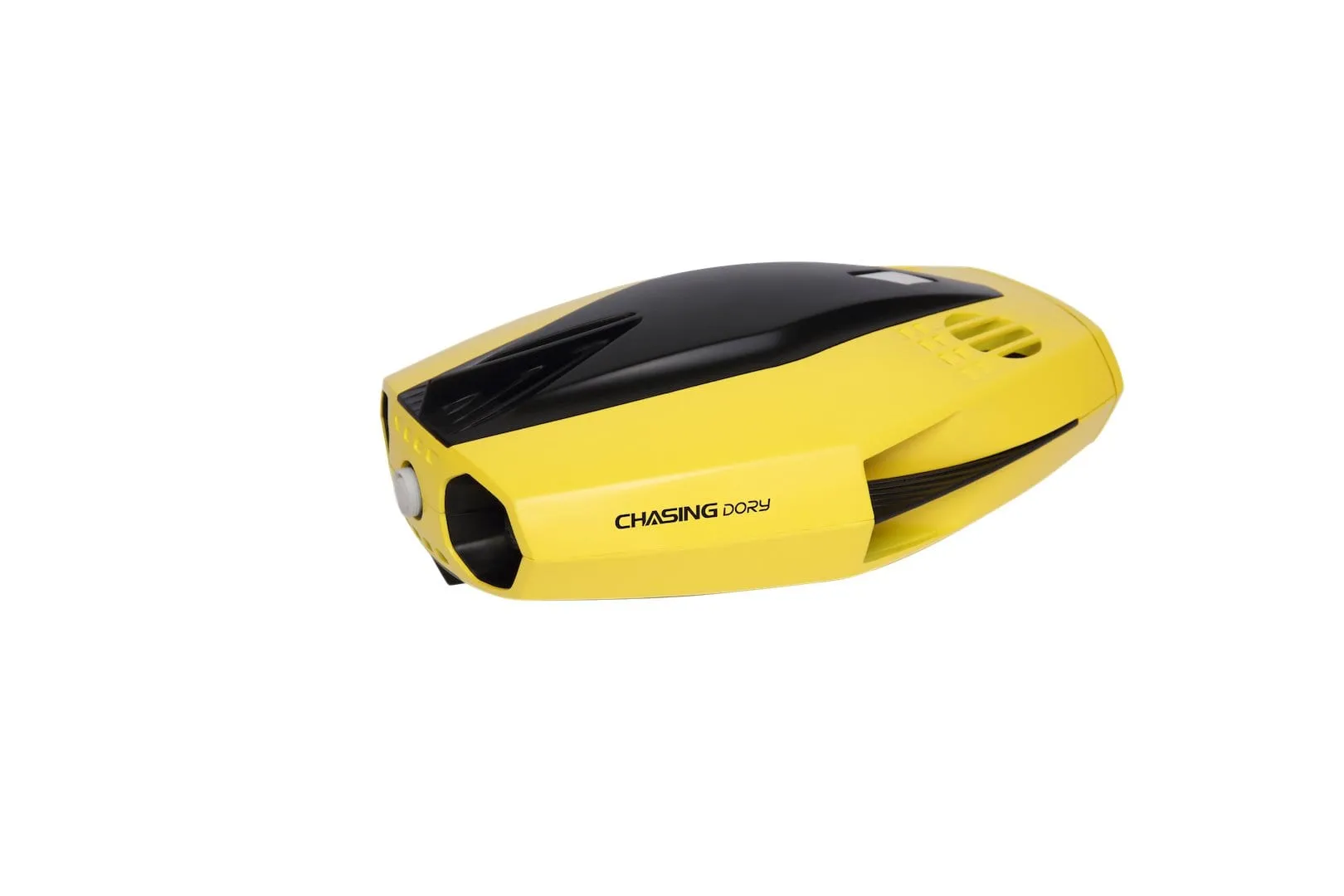 Chasing Dory Underwater ROV