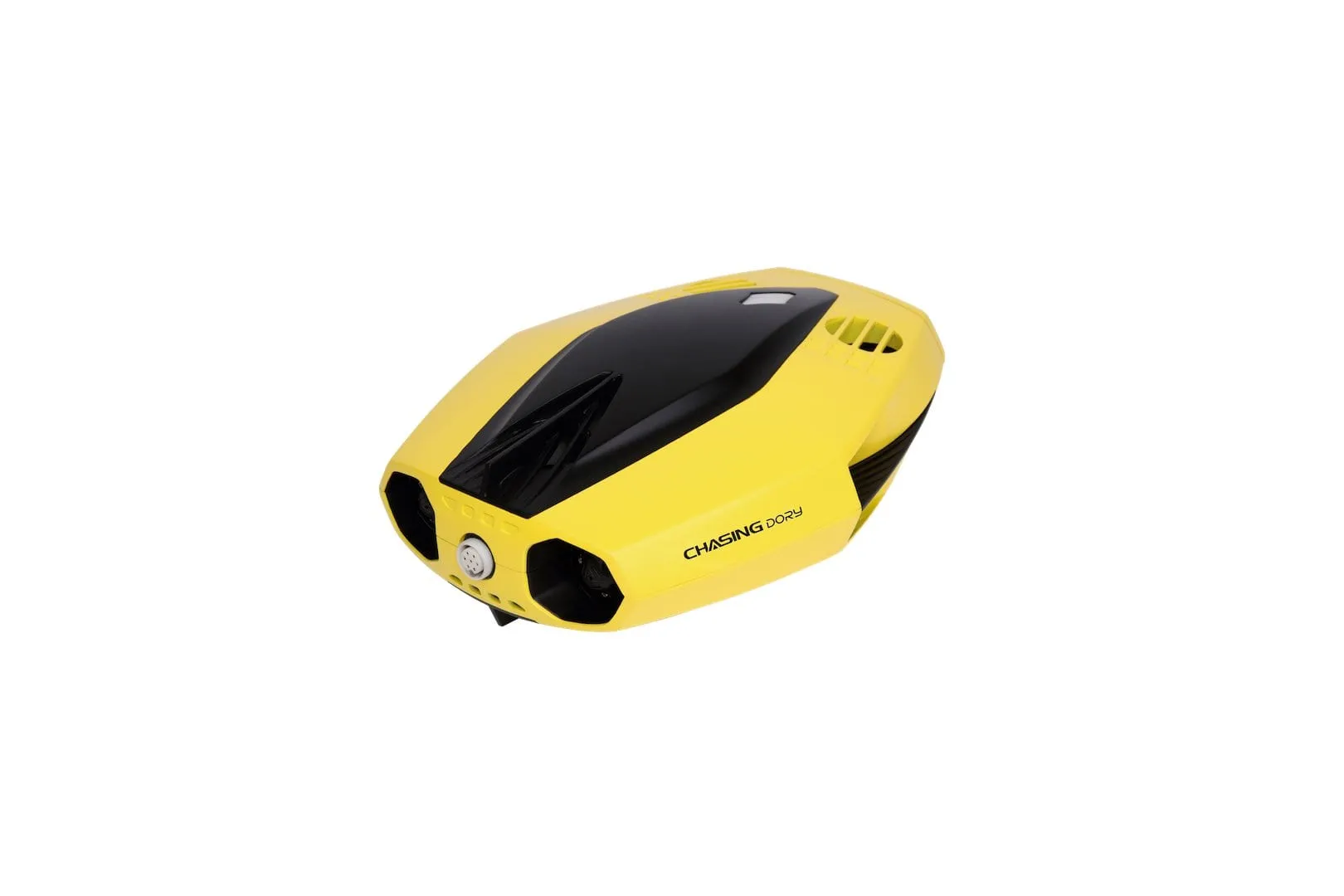 Chasing Dory Underwater ROV