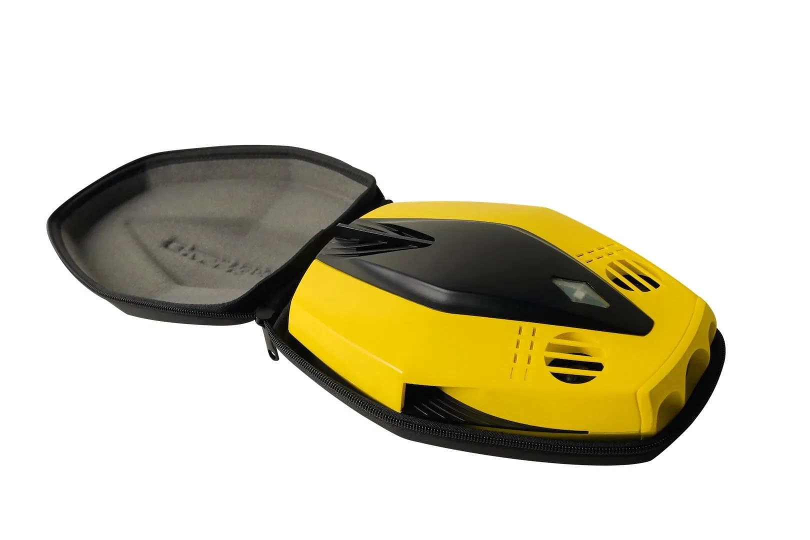 Chasing Dory Underwater ROV