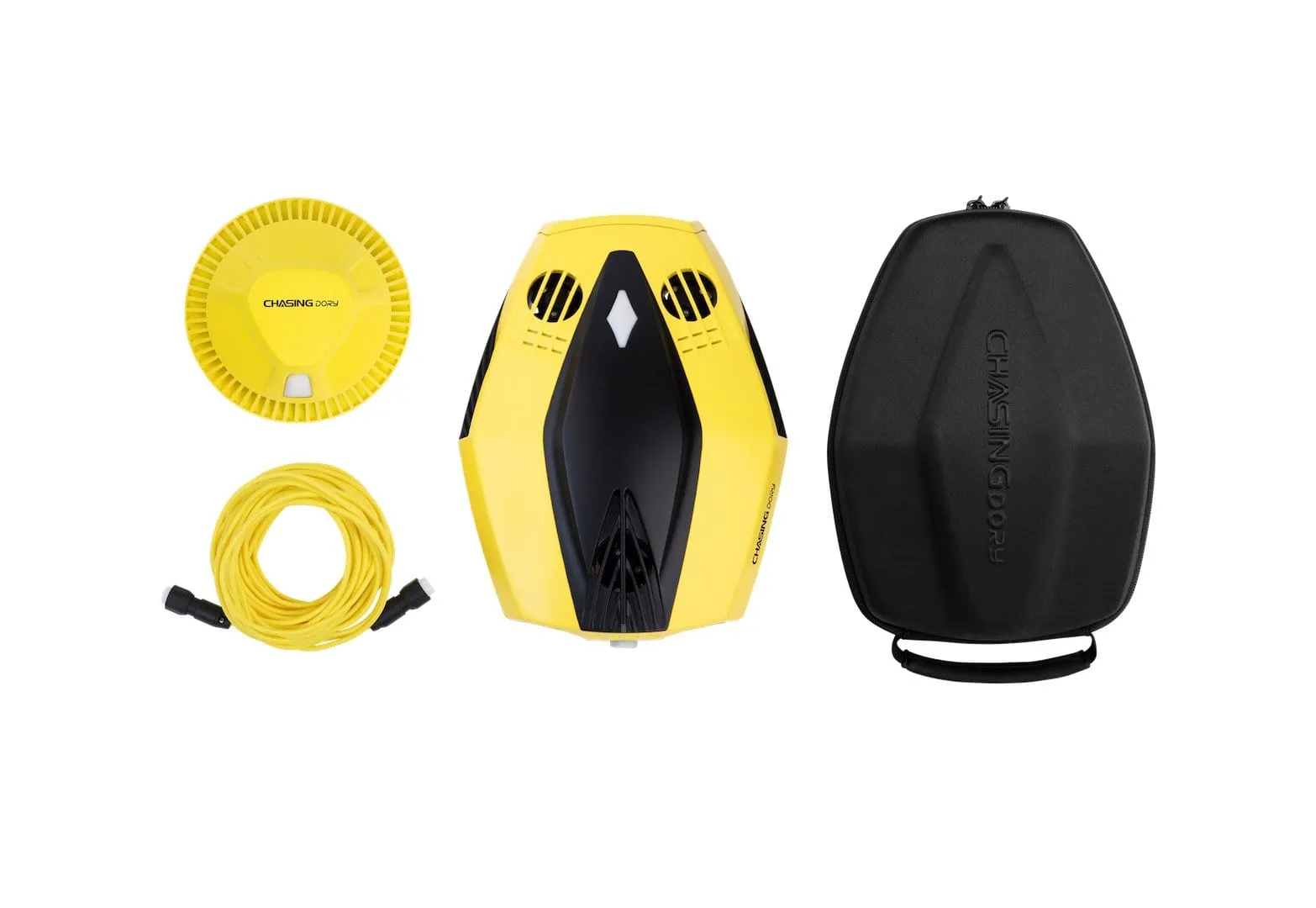 Chasing Dory Underwater ROV