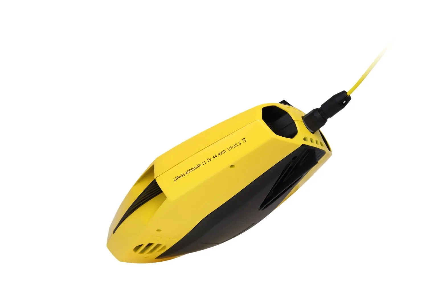 Chasing Dory Underwater ROV