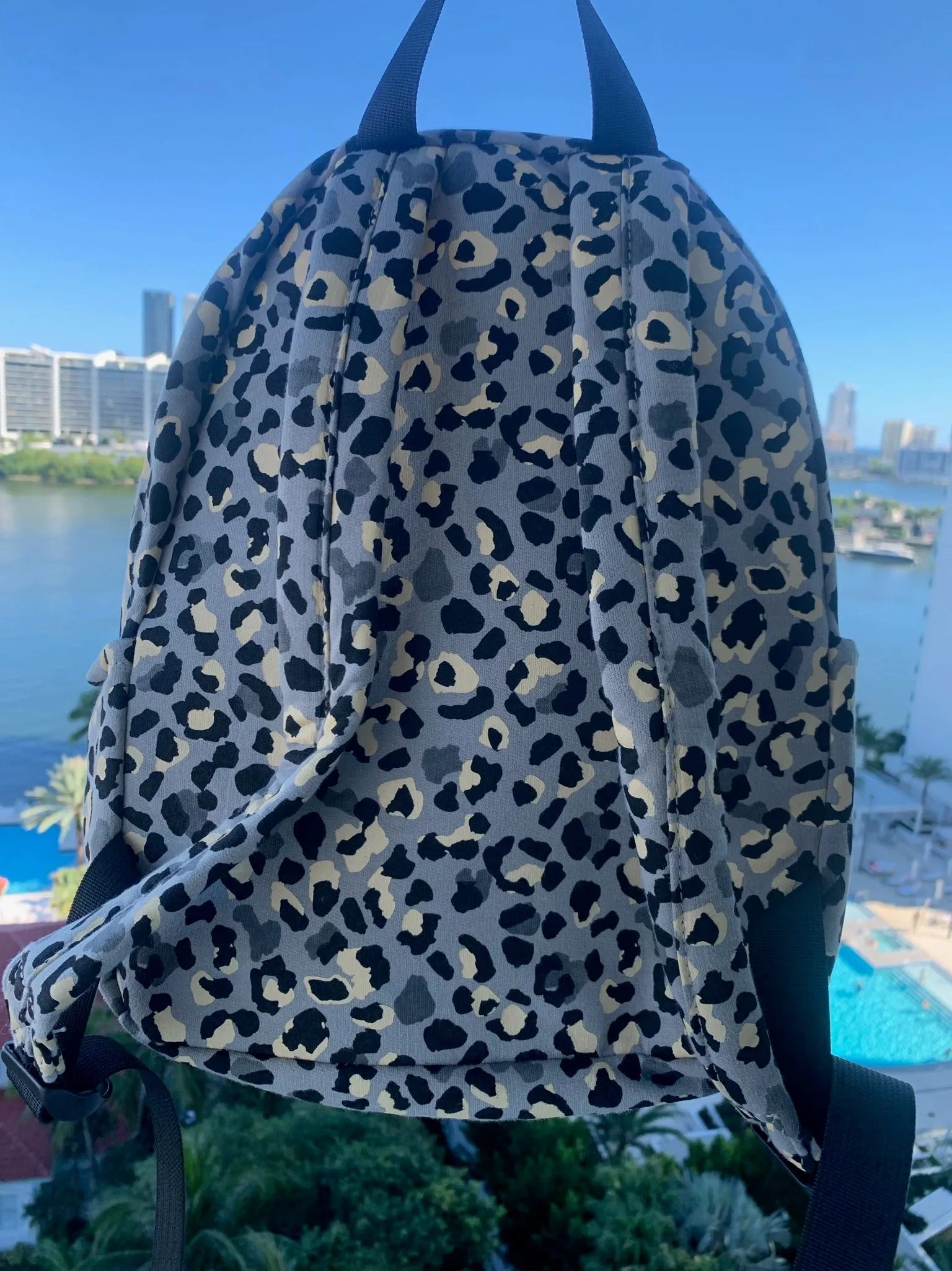 Cheetah Big Backpack