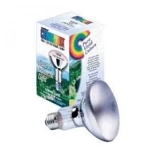 Chromalux® Full Spectrum Incandescent by Lumiram