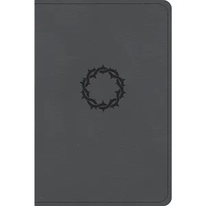 CSB Large Print Compact Reference Bible, Stone Leathertouch