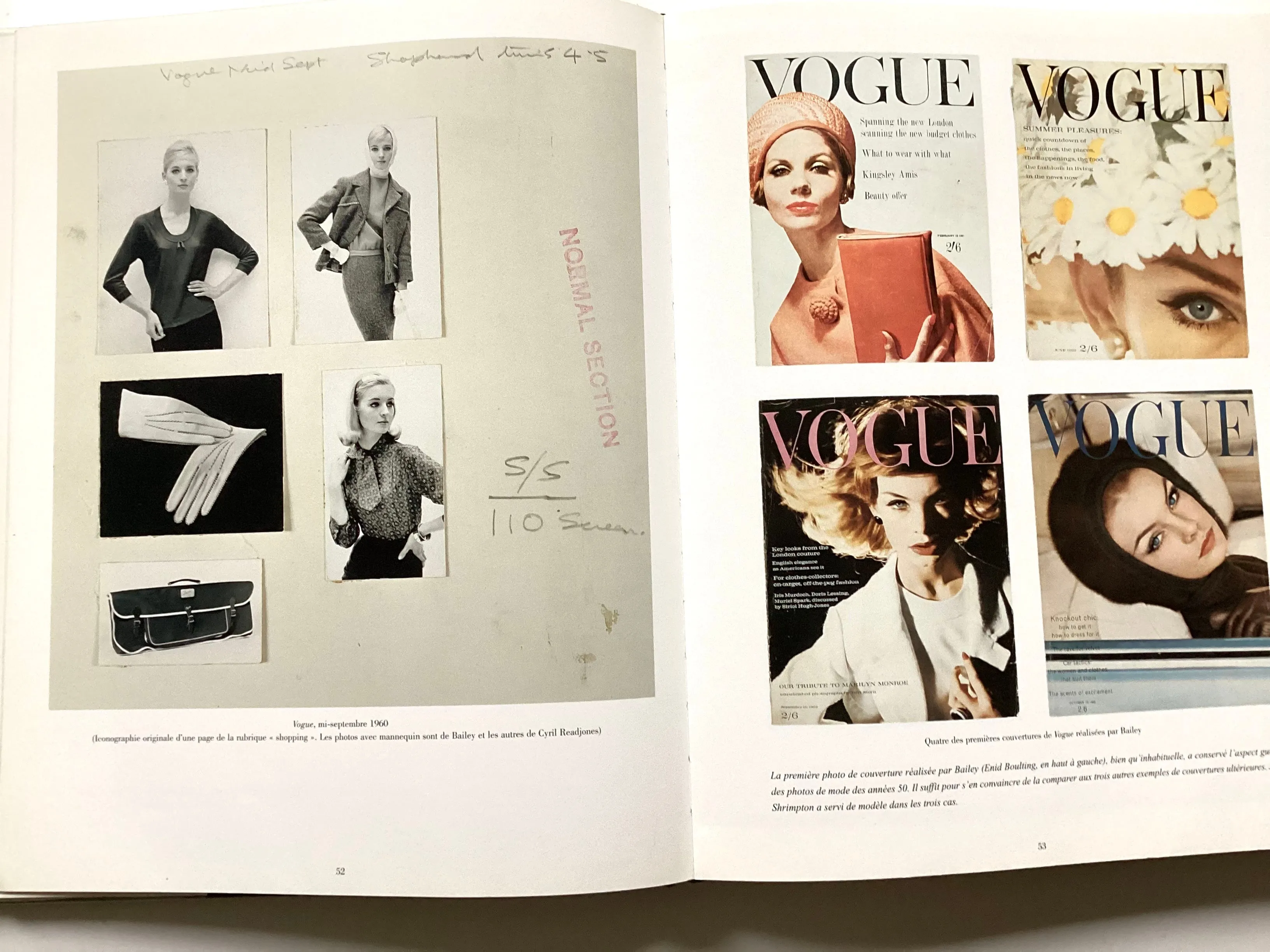 David Bailey Monographie