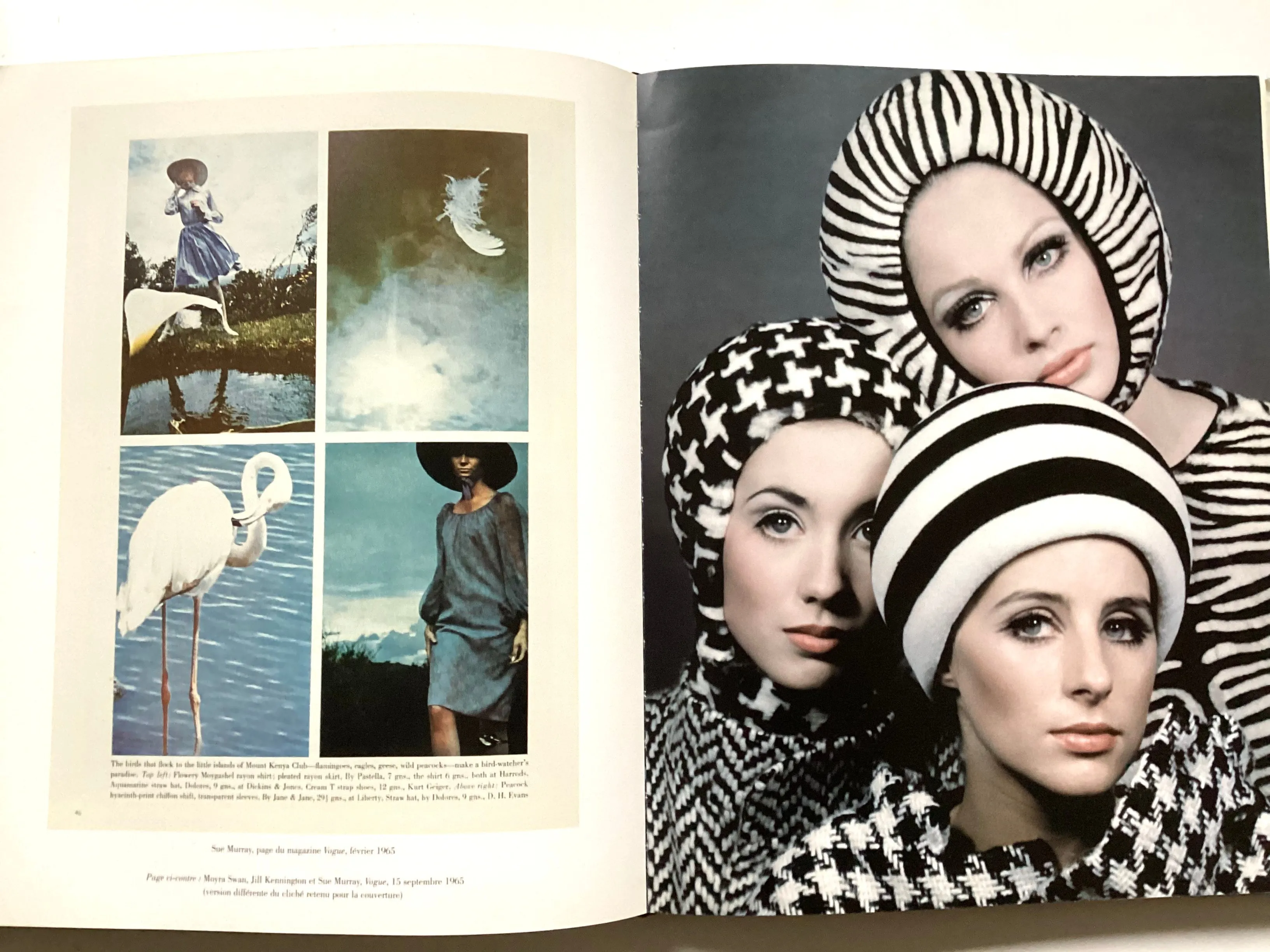 David Bailey Monographie