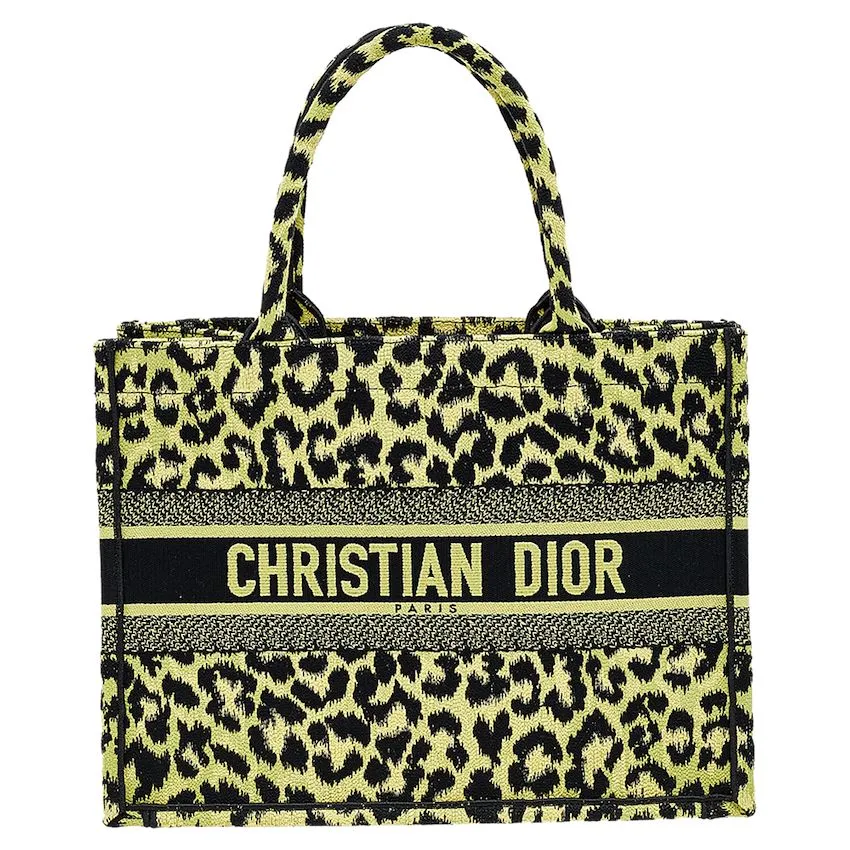 Dior Book Tote