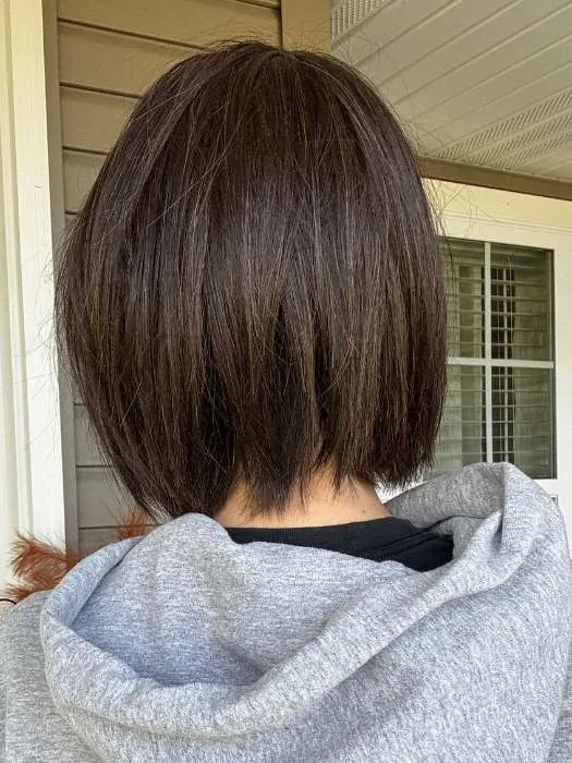 Euro Chic | Synthetic Lace Front Wig (Mono Top)