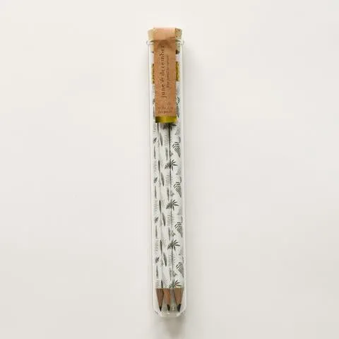 Fern Pencil Terrarium: Set of 5 Pencils