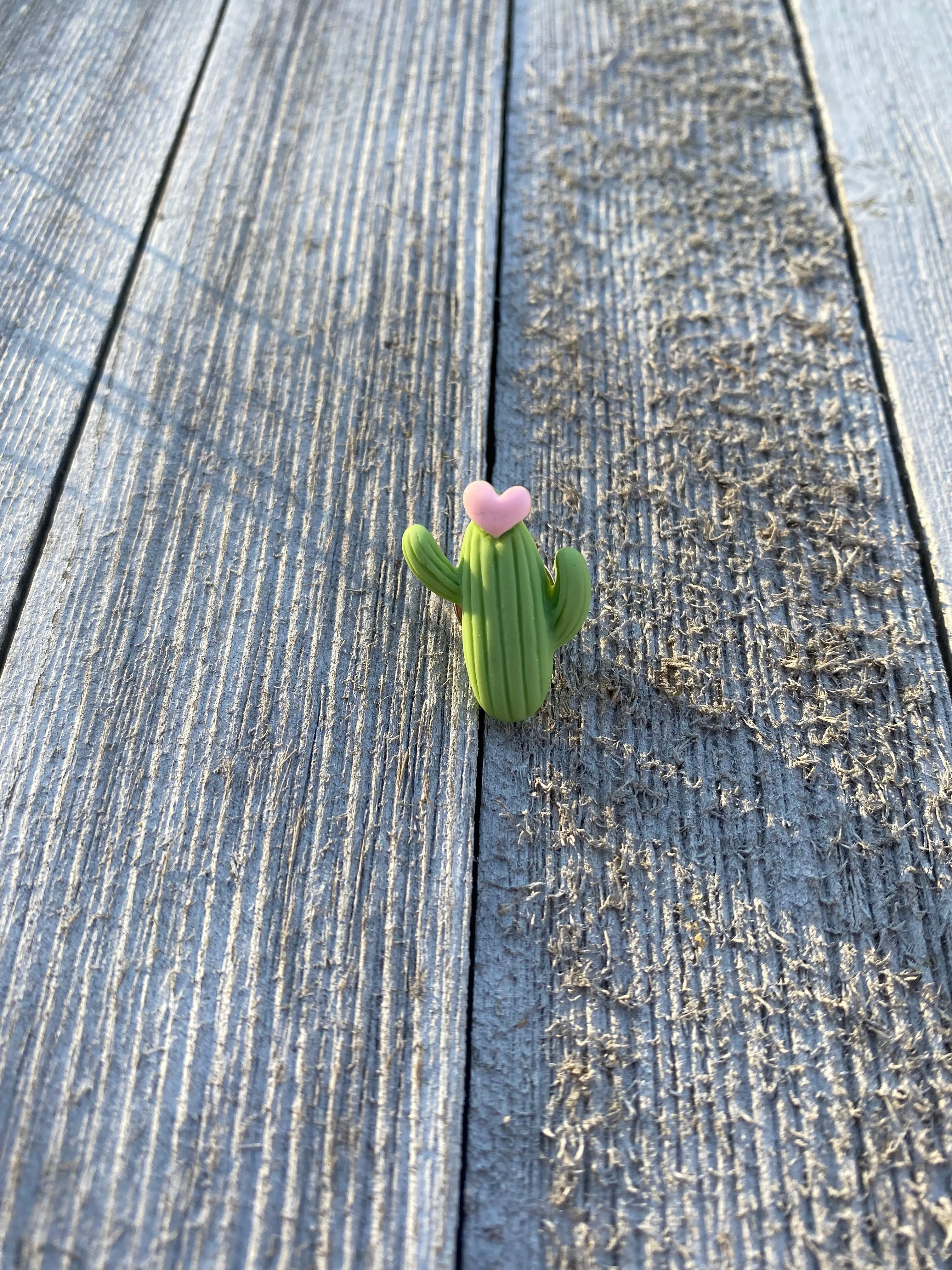 Green Cactus Plant Pin Gift