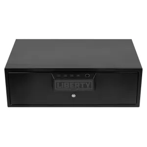 HDV-500X Biometric Smart Vault