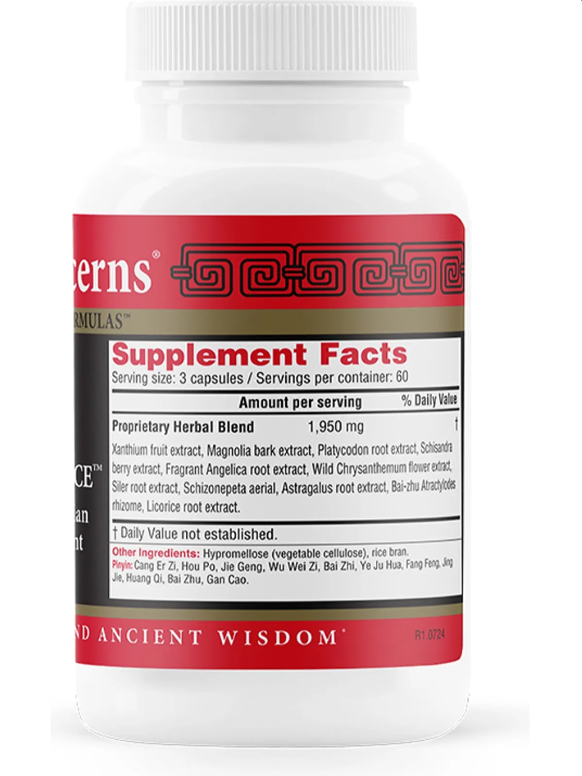 Health Concerns, Xanthium Relieve Surface, 180 ct