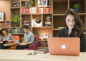 Hive Carpenter - Hot Desking Memberships