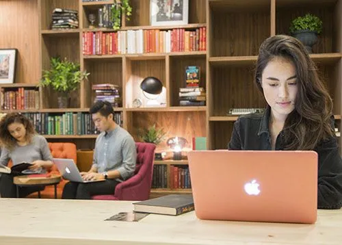 Hive Carpenter - Hot Desking Memberships