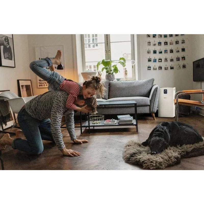 Karcher Air Purifier AF 50