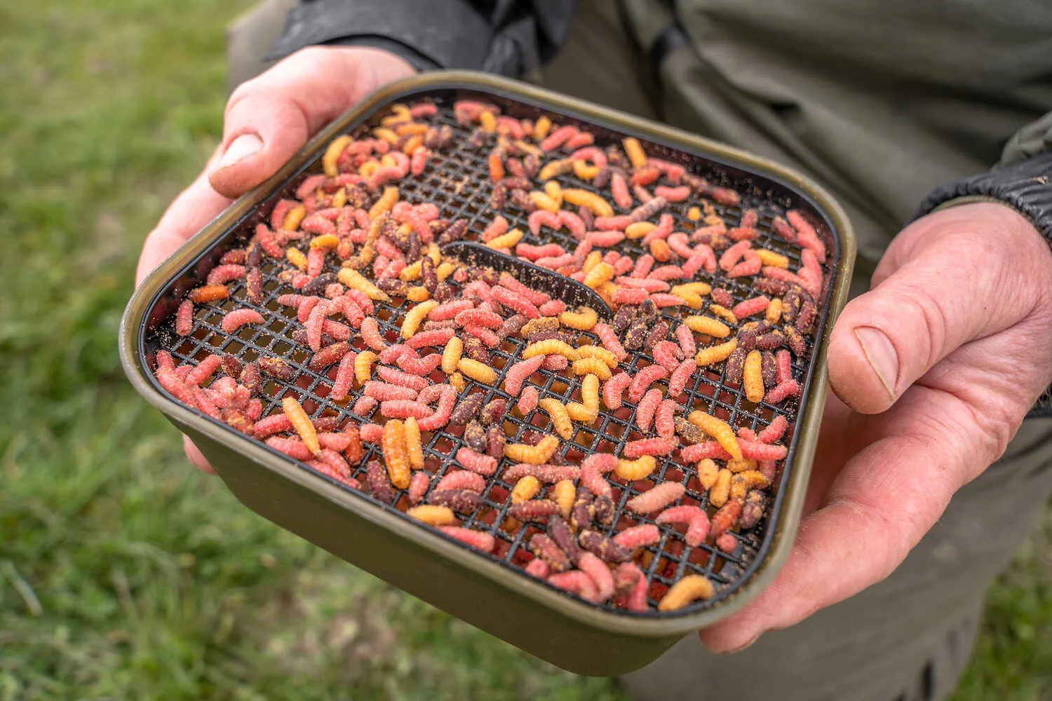 KORUM Maggot Tub And Riddle - 2Pt/1.2L
