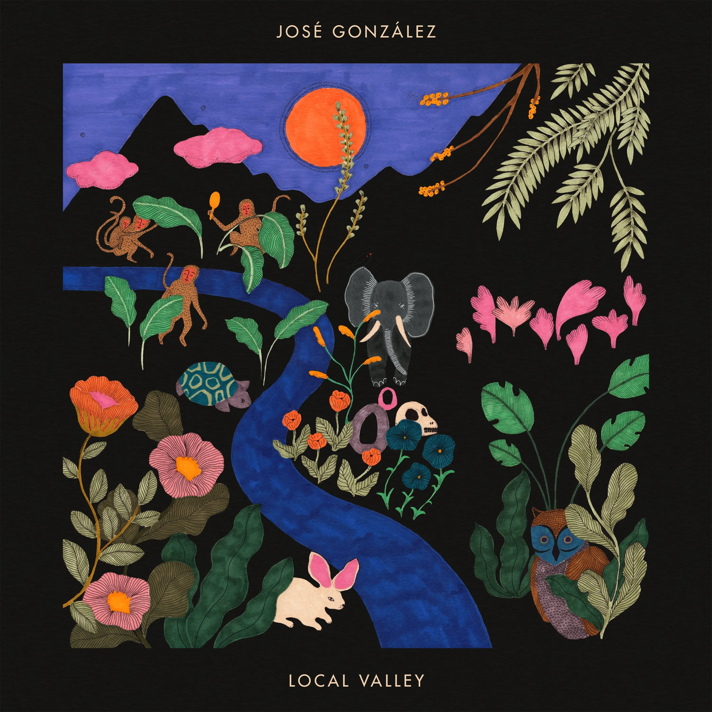 Local Valley [CD]