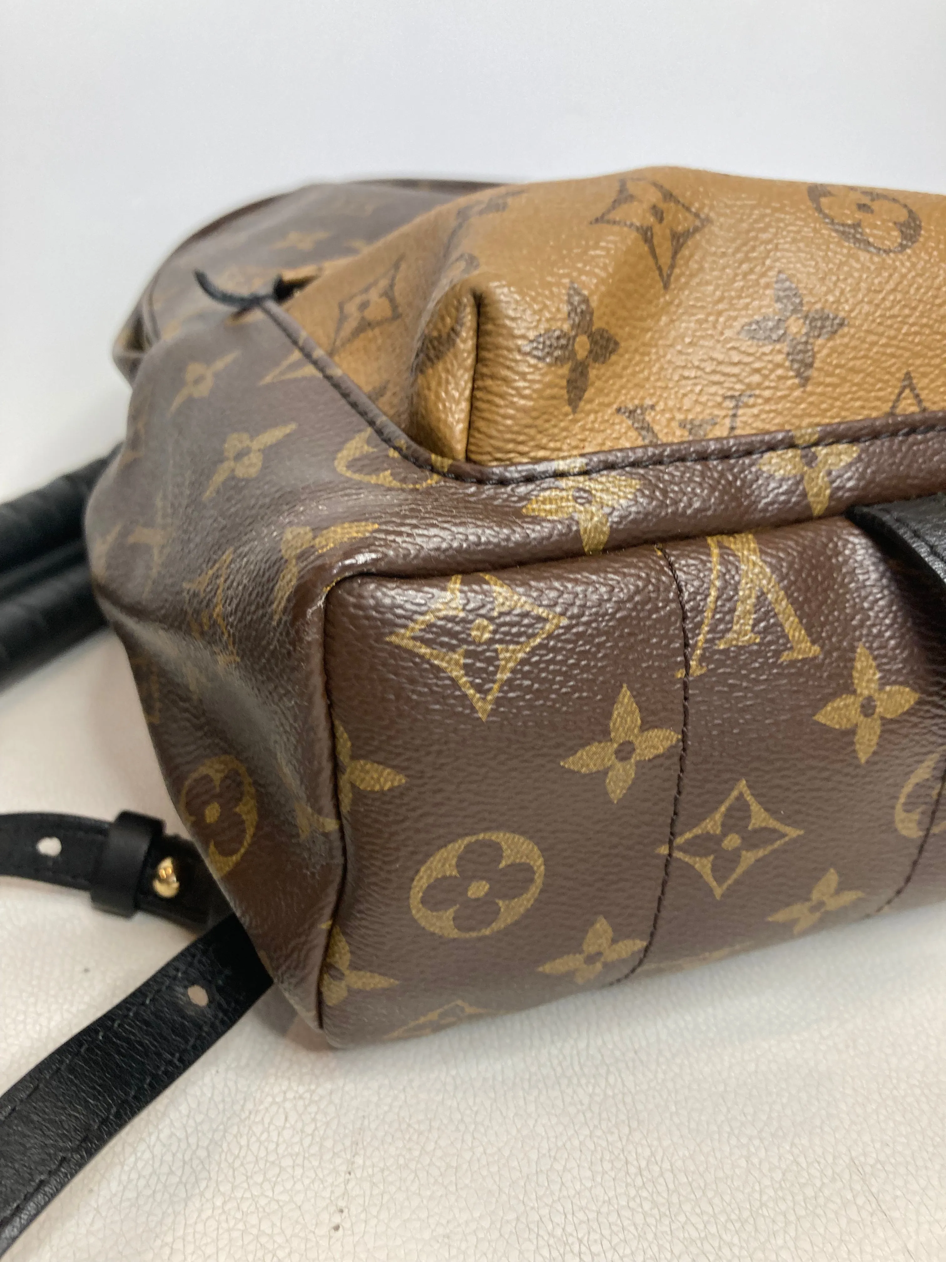 LOUIS VUITTON Reverse Monogram Palm Springs Backpack