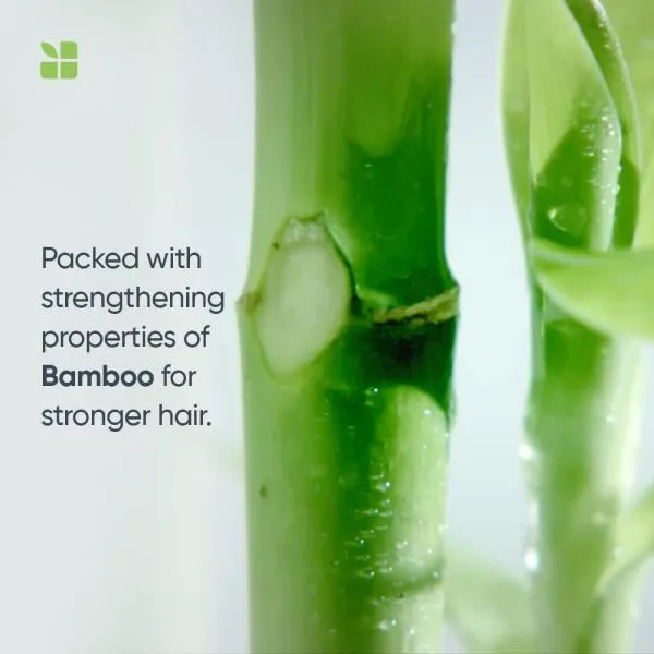 Matrix Biolage advanced fiberstrong intra-cylane   bamboo shampoo 200ml