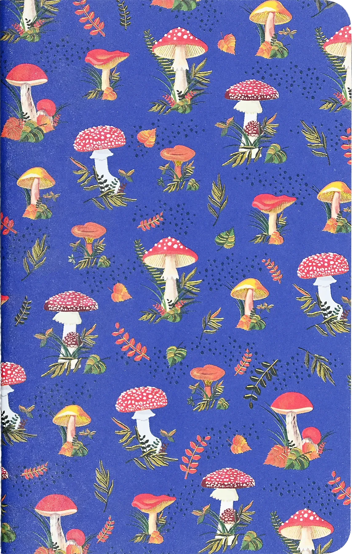 Mushrooms Jotter Notebooks