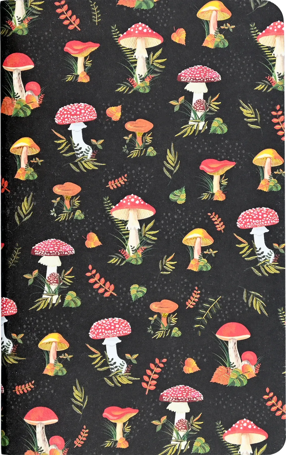 Mushrooms Jotter Notebooks