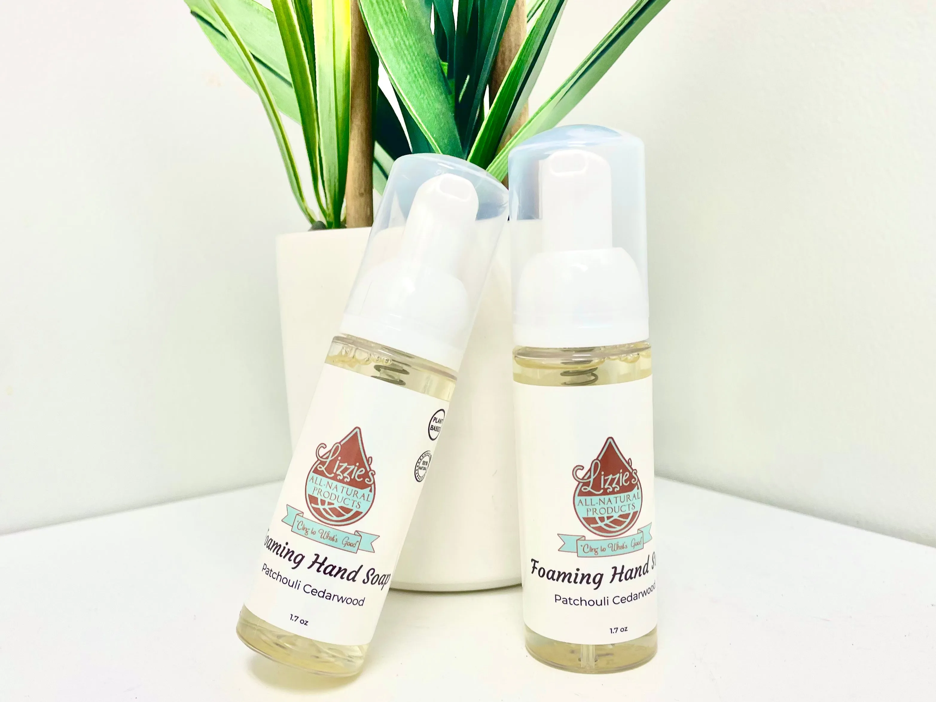 Natural Foaming Hand Soap