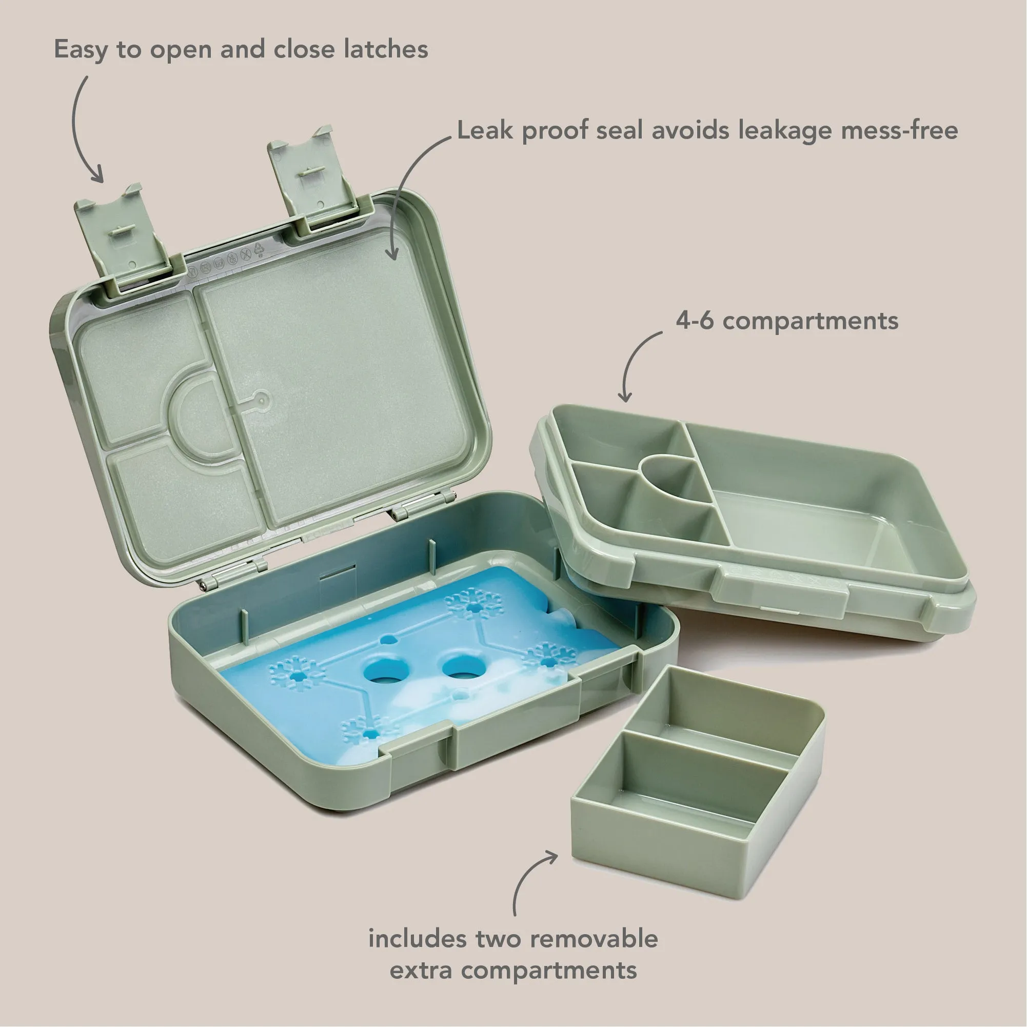 noüka Bento Chill Lunch Box - Bloom (Min. of 2 PK, Multiples of 2 PK)