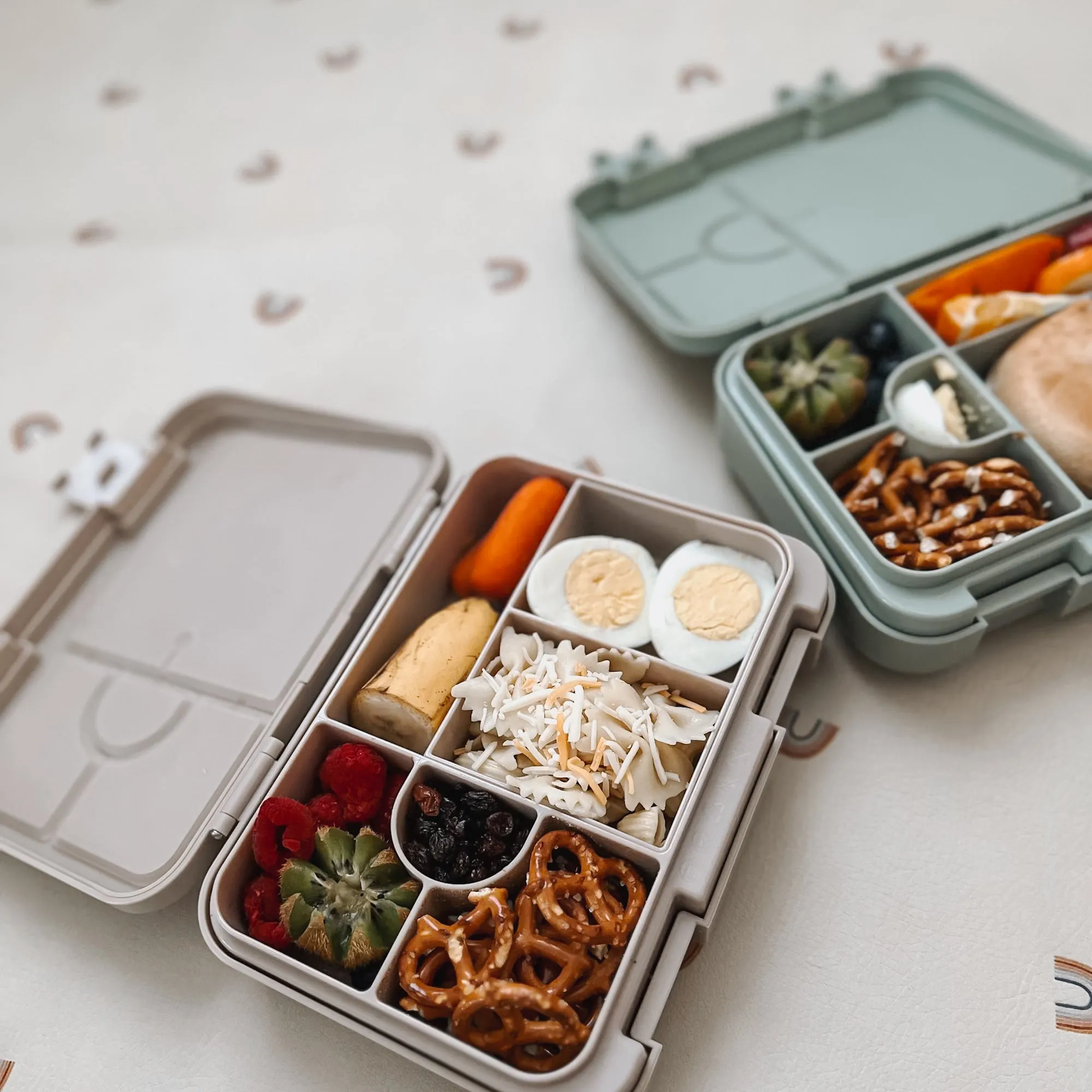 noüka Design Bento Lunch Box -  Dazzle  (Min. of 2 PK, Multiples of 2 PK)
