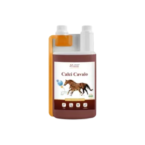 Over Horse Calci Cavalo