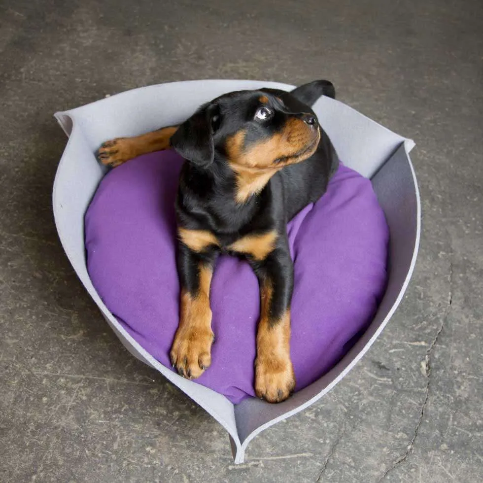 Pet Interiors NOOK Felt Designer Cat Bed