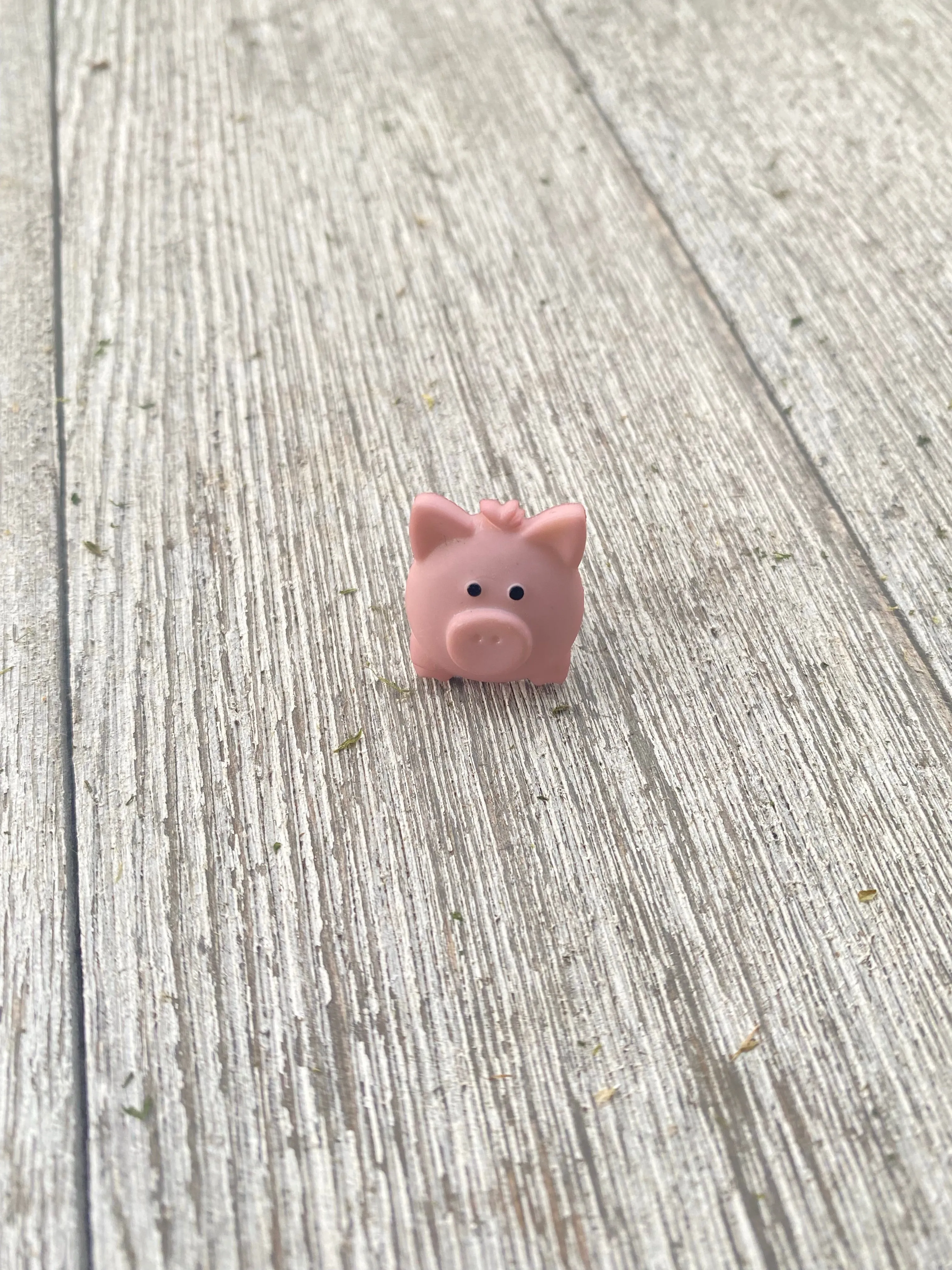 Pig pin gift