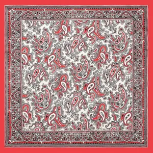 Redy Paisley Tuch