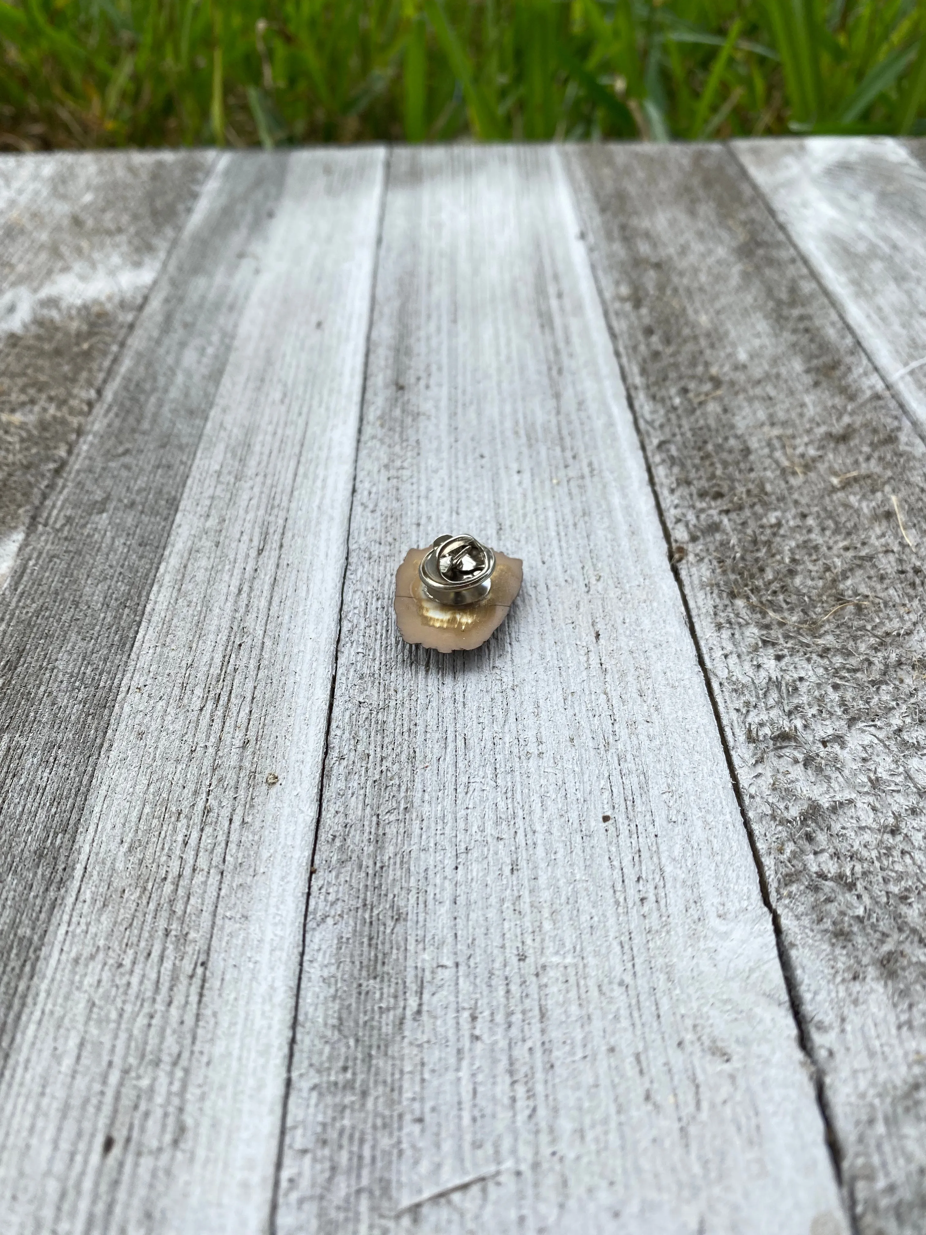 Star Wars Chewbacca Pin Gift
