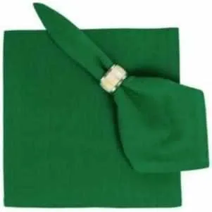 True Green Flatweave Napkins 22" x 22" 100% Cotton - Set of 4