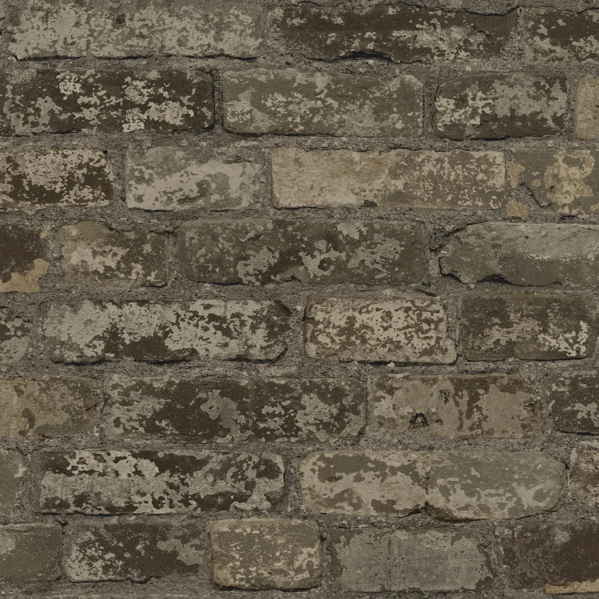 Urban Chic Up The Wall Wallpaper (56 SqFt)