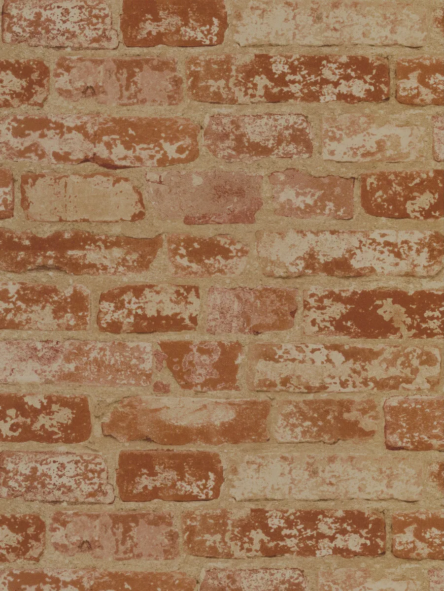 Urban Chic Up The Wall Wallpaper (56 SqFt)