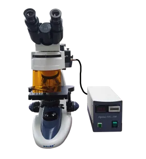 VE-146YT Trinocular Epifluorescence Microscope